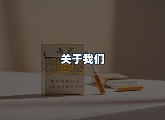 关于我们